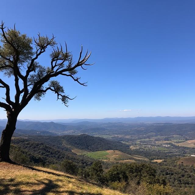 Guide to Stags Leap Wineries in Napa Valley