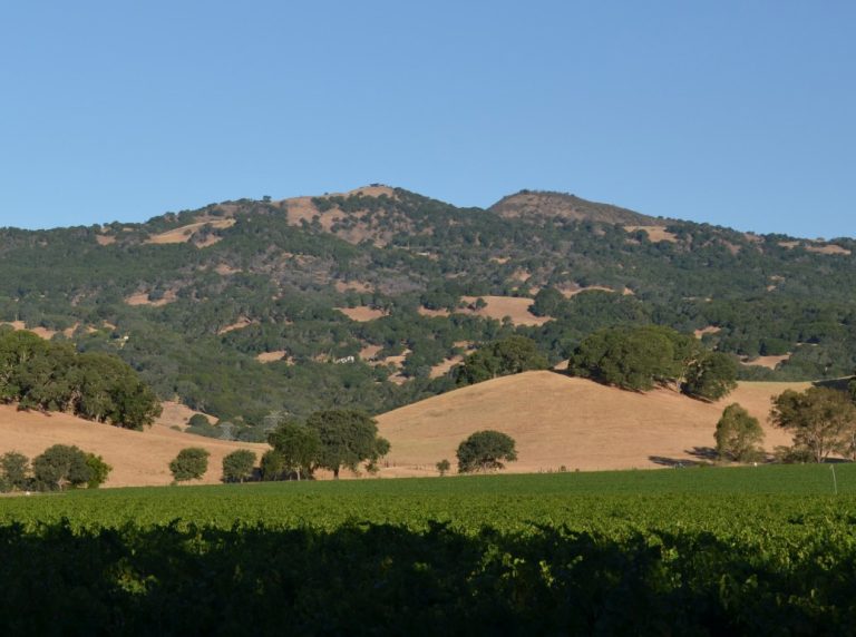 Guide to Howell Mountain Wineries in Napa Valley