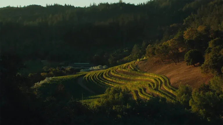 at the 2021 FUTO Estate CFX Red Blend